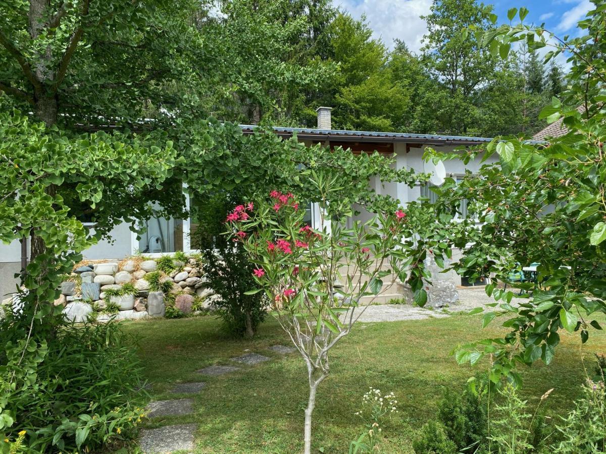 Bungalow Grabner هيرماجور المظهر الخارجي الصورة